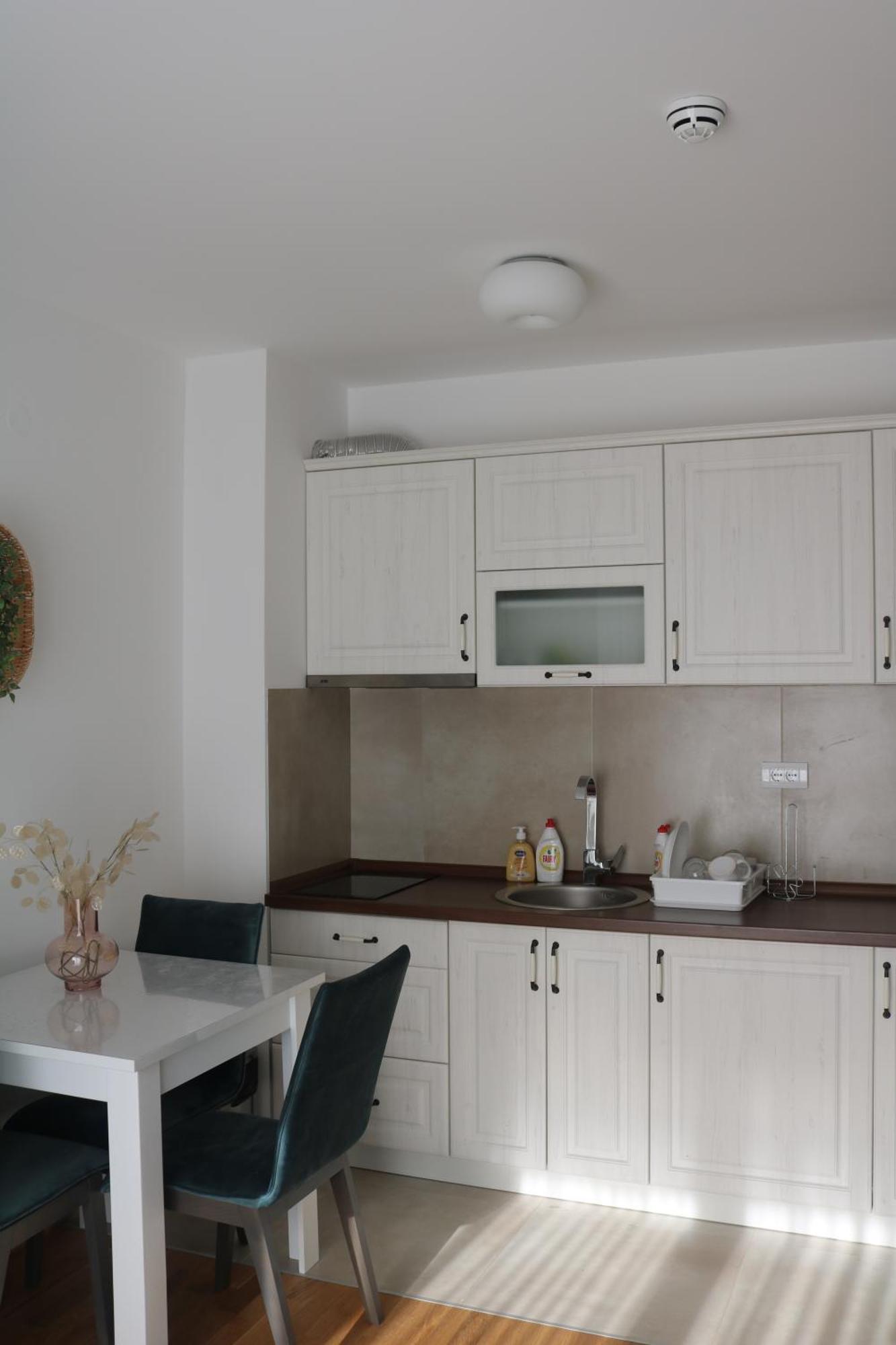 Vila Irina Kopaonik Habitación foto